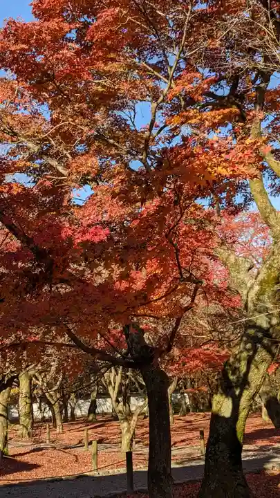 東福禅寺(東福寺)(京都府)