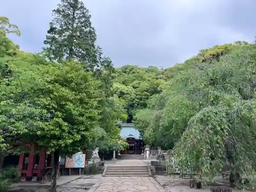 伊豆山神社の{uncategorized: "未分類", other: "その他", undefined: "問題あり", building: "その他建物", grave: "お墓", sacred_gate: "鳥居", guardian: "狛犬", statue: "像", buddha: "仏像", history: "歴史", nature: "自然", garden: "庭園", animal: "動物", pagoda: "塔", temizu: "手水舎", mountain_gate: "山門・神門", sanctuary: "本殿・本堂", subordinate: "末社・摂社", art: "芸術", scenery: "景色", jizo: "地蔵", ema: "絵馬", goshuin: "御朱印", omikuji: "おみくじ", items: "授与品その他", amulet: "お守り", goshuincho: "御朱印帳", eats: "食事", festival: "お祭り", votive_dance: "神楽", shichigosan: "七五三参", wedding: "結婚式", experience: "体験その他", initially: "初詣", around: "周辺", anti_infection: "感染症対策"}