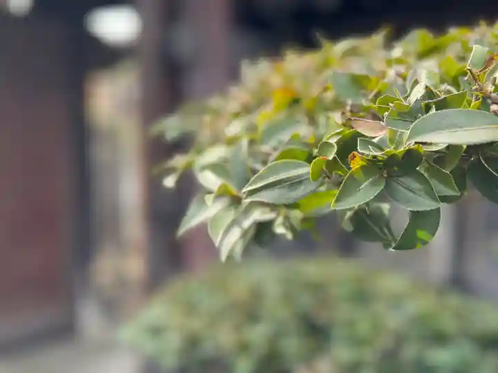 西方山極楽寺(岐阜県)