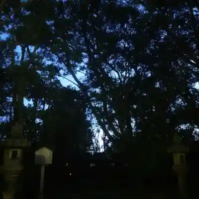 尾張大國霊神社（国府宮）(愛知県)