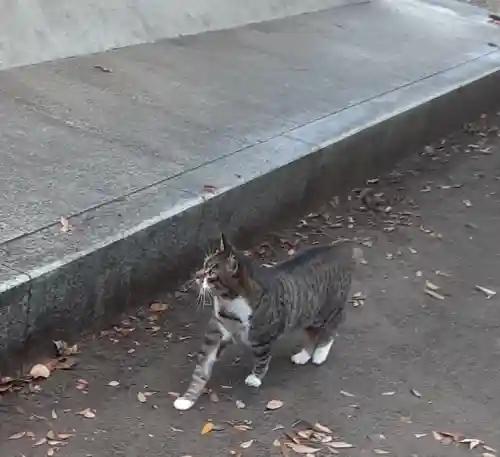丸子山王日枝神社(神奈川県)