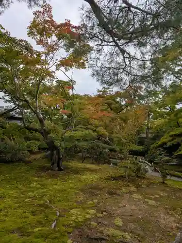 宝厳院(京都府)