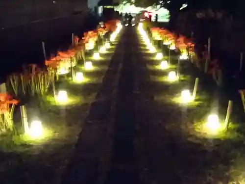 横浜　西方寺の自然