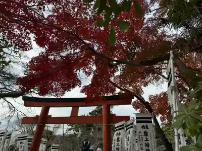 旗上弁財天社の{uncategorized: "未分類", other: "その他", undefined: "問題あり", building: "その他建物", grave: "お墓", sacred_gate: "鳥居", guardian: "狛犬", statue: "像", buddha: "仏像", history: "歴史", nature: "自然", garden: "庭園", animal: "動物", pagoda: "塔", temizu: "手水舎", mountain_gate: "山門・神門", sanctuary: "本殿・本堂", subordinate: "末社・摂社", art: "芸術", scenery: "景色", jizo: "地蔵", ema: "絵馬", goshuin: "御朱印", omikuji: "おみくじ", items: "授与品その他", amulet: "お守り", goshuincho: "御朱印帳", eats: "食事", festival: "お祭り", votive_dance: "神楽", shichigosan: "七五三参", wedding: "結婚式", experience: "体験その他", initially: "初詣", around: "周辺", anti_infection: "感染症対策"}