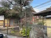 地蔵院(京都府)