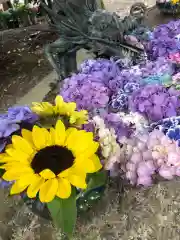 彌都加伎神社の手水