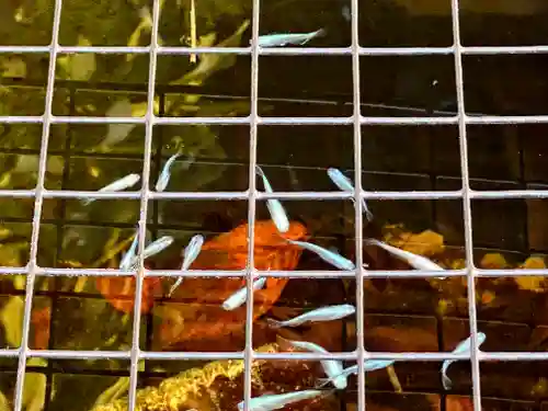 徳勝寺(滋賀県)