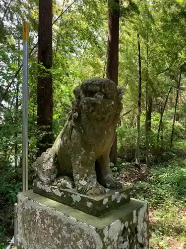 瀧口神社の狛犬