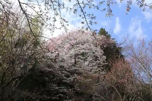 見渡神社の景色