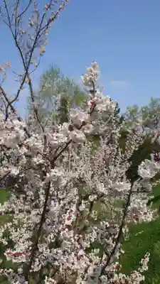 相馬神社(北海道)