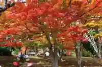 土津神社|こどもと出世の神さまの景色