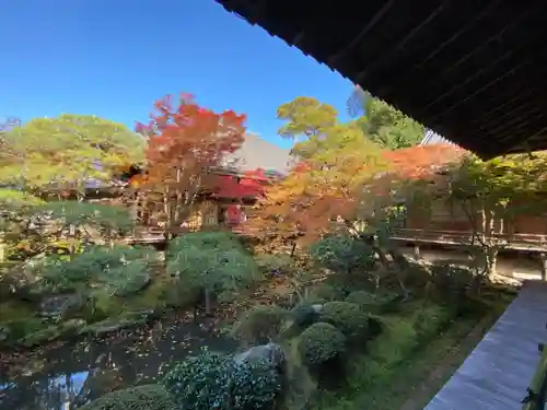 禅林寺（永観堂）の庭園