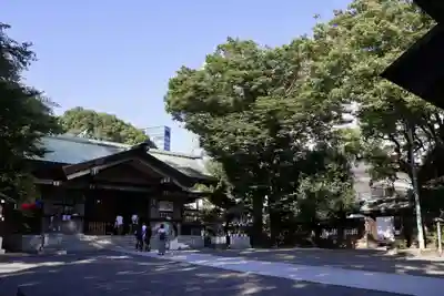 東郷神社の本殿・本堂