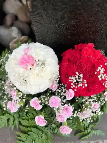 上尾御嶽神社の手水