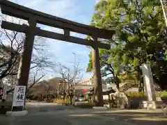 愛知縣護國神社の鳥居