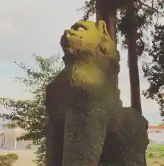 豊景神社の狛犬