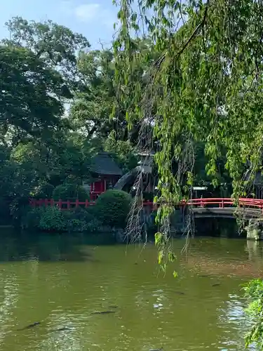 三嶋大社の庭園