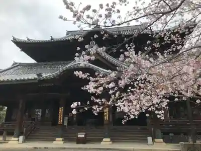 粉河寺の本殿・本堂