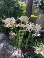 實相山 正法院(静岡県)