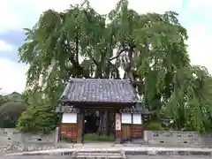 増泉寺(長野県)