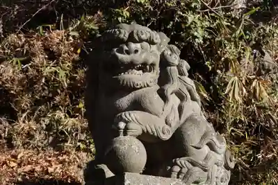 阿久津「田村神社」（郡山市阿久津町）旧社名：伊豆箱根三嶋三社の狛犬