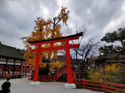 賀茂御祖神社（下鴨神社）(京都府)