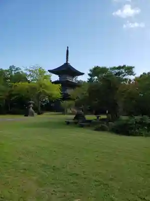 国分寺のその他建物