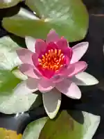 太融寺(大阪府)