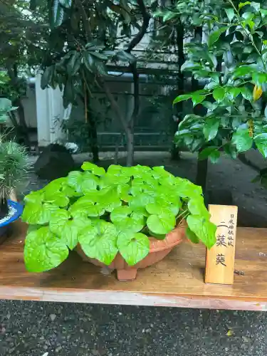 日本橋日枝神社(東京都)