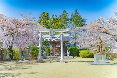 中新田城跡・八幡神社(宮城県)