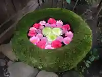 菅生神社(愛知県)