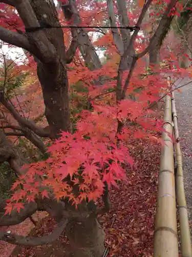 北野天満宮の庭園