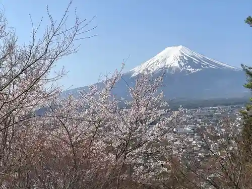 新倉富士浅間神社(山梨県)