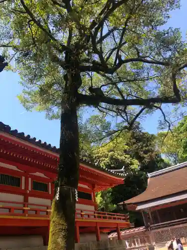 石清水八幡宮(京都府)