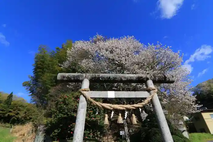 見渡神社の鳥居