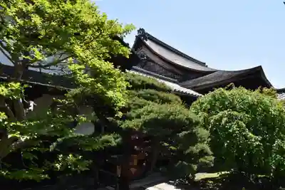 観智院（東寺子院）の庭園