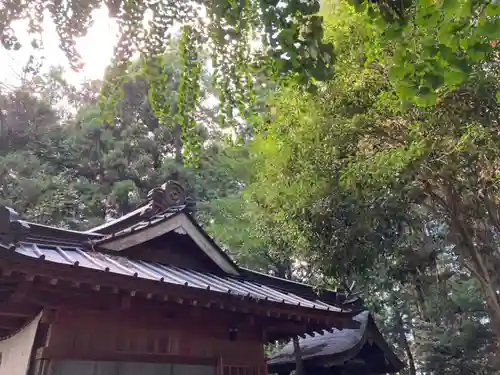 鹿島神社(茨城県)
