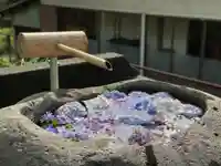 円通寺の手水舎