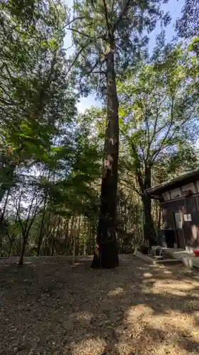 （市辺）天満神社(京都府)