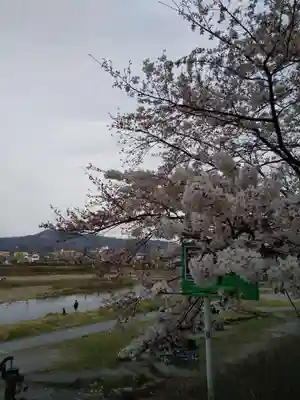 出町妙音堂の自然