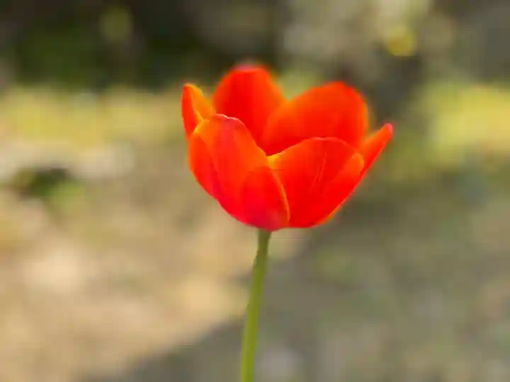 西方山極楽寺(岐阜県)