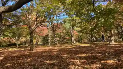 東福禅寺（東福寺）(京都府)