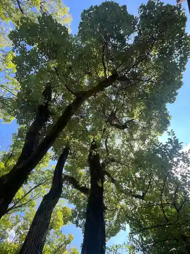 安井金比羅宮(京都府)