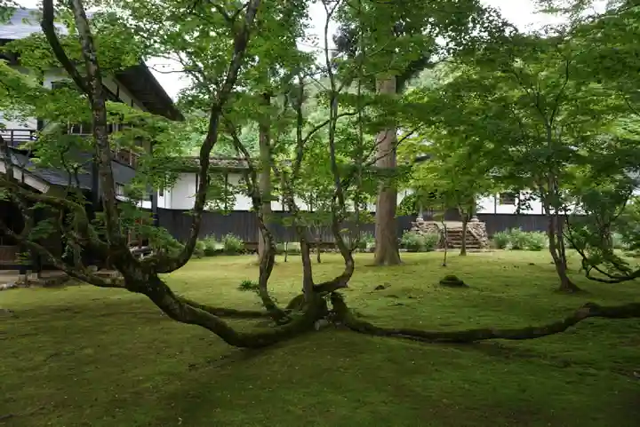 雲洞庵(新潟県)