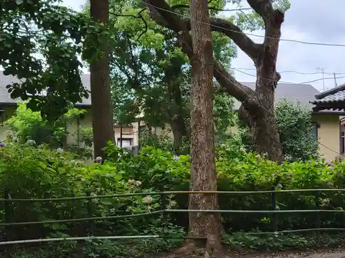 藤森神社のその他建物