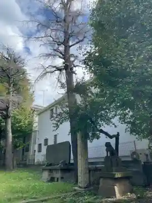一之宮神社(神奈川県)