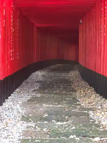 神徳稲荷神社の景色