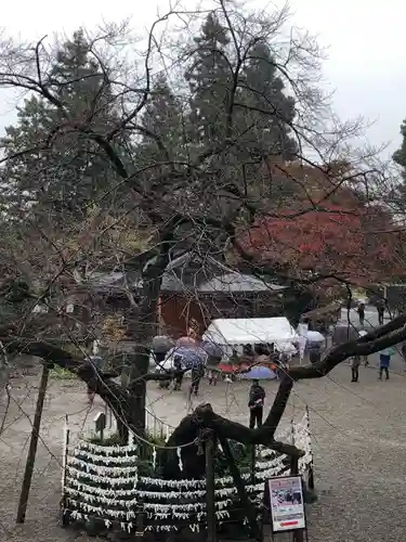 高麗神社の自然
