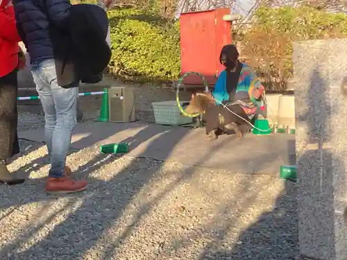 大船観音寺(神奈川県)