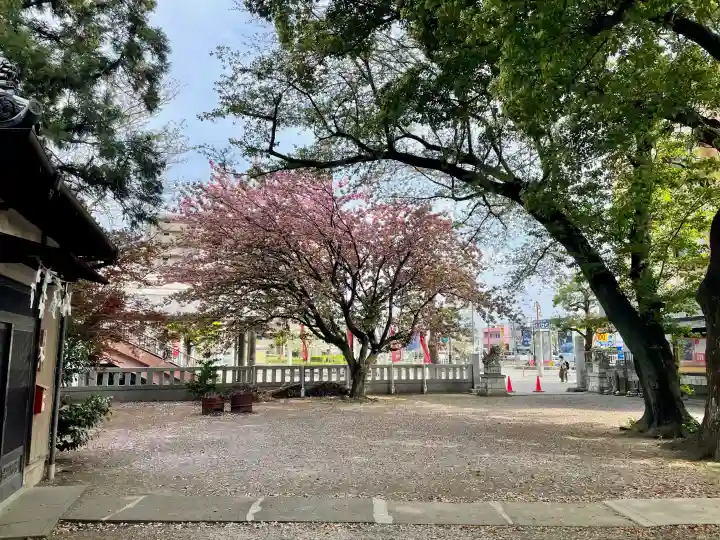 諏訪大神社 の{uncategorized: "未分類", other: "その他", undefined: "問題あり", building: "その他建物", grave: "お墓", sacred_gate: "鳥居", guardian: "狛犬", statue: "像", buddha: "仏像", history: "歴史", nature: "自然", garden: "庭園", animal: "動物", pagoda: "塔", temizu: "手水舎", mountain_gate: "山門・神門", sanctuary: "本殿・本堂", subordinate: "末社・摂社", art: "芸術", scenery: "景色", jizo: "地蔵", ema: "絵馬", goshuin: "御朱印", omikuji: "おみくじ", items: "授与品その他", amulet: "お守り", goshuincho: "御朱印帳", eats: "食事", festival: "お祭り", votive_dance: "神楽", shichigosan: "七五三参", wedding: "結婚式", experience: "体験その他", initially: "初詣", around: "周辺", anti_infection: "感染症対策"}